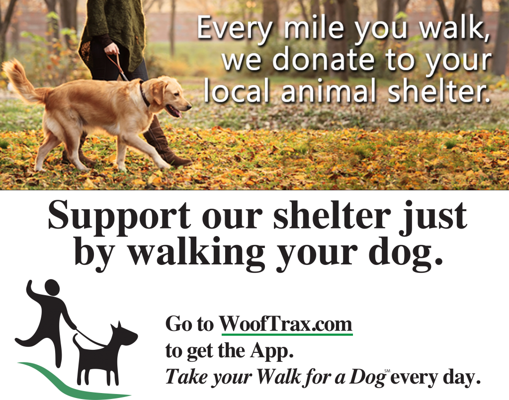 our_shelter_poster