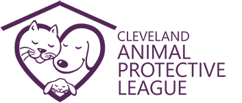 Cleveland Animal Protective League | Cleveland Animal Protective League