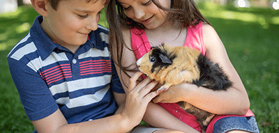 Two children and their guinea pig