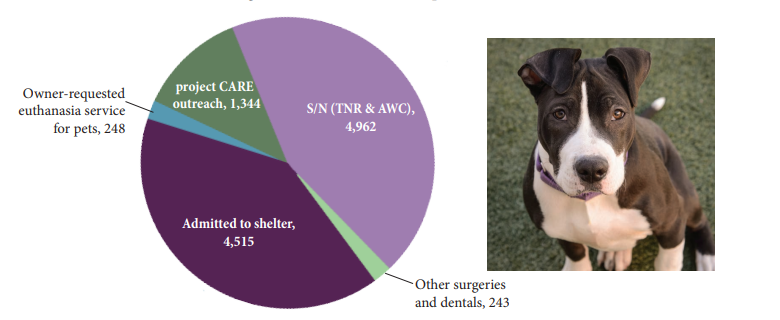 2021 Shelter Statistics Cleveland Animal Protective League   2021graphassisted 