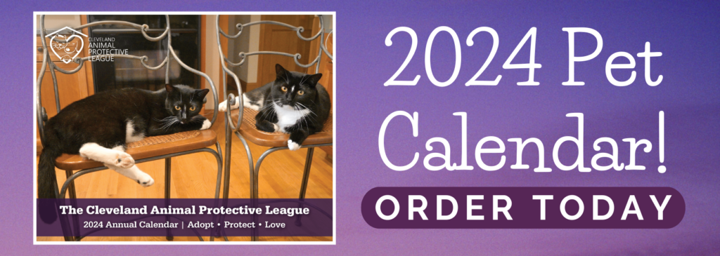 Calendar Contest Cleveland Animal Protective League