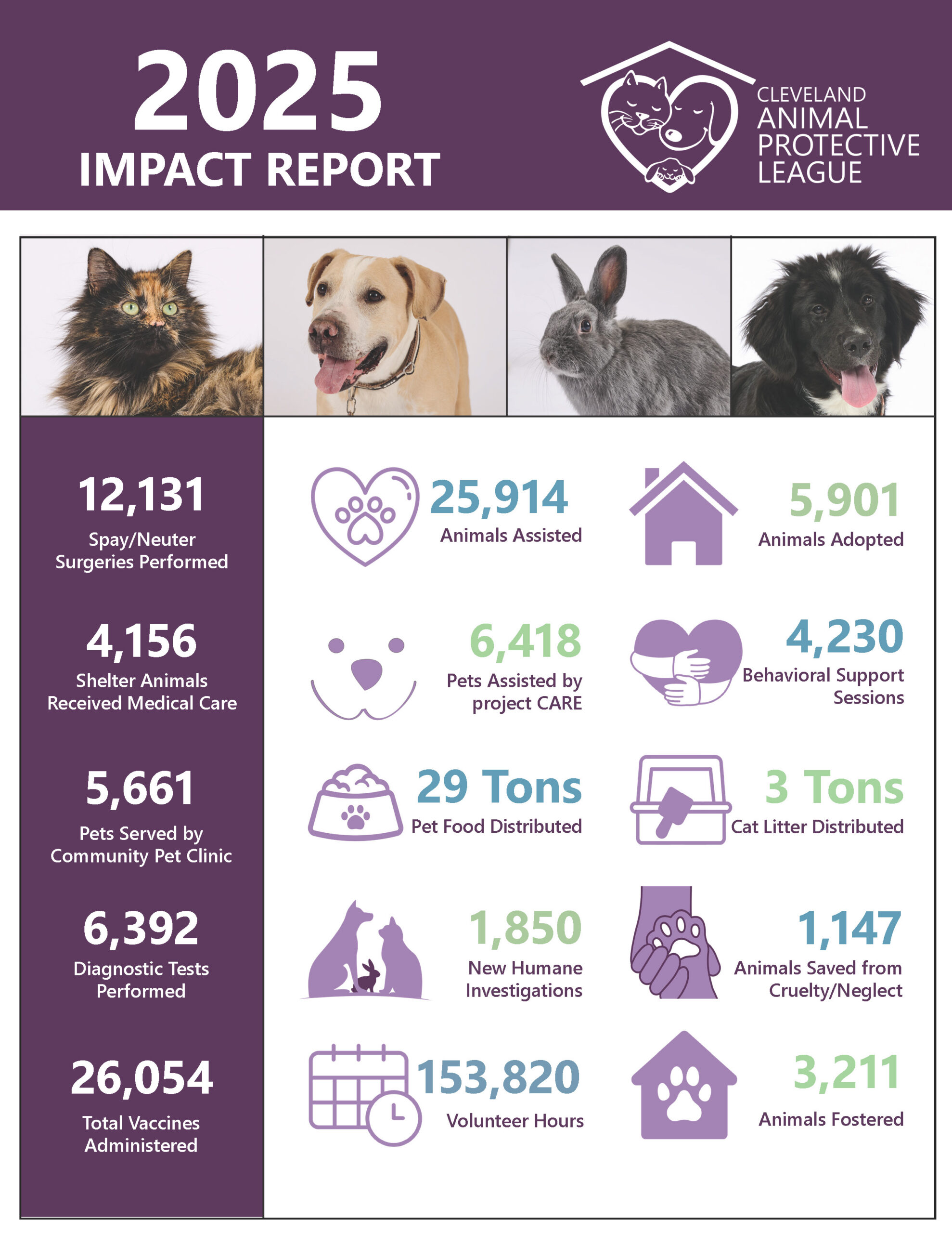 2025 Impact Report